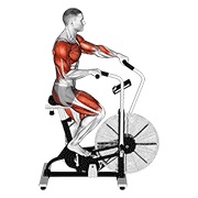 Cycle cross trainer