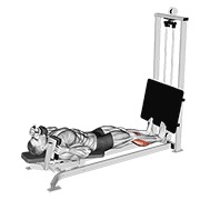 Sled tumbado calf press