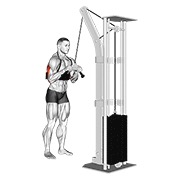 Triceps pushdown (v-bar) (with arm blaster) en polea