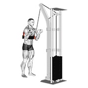 Inverso grip triceps pushdown (sz-bar) (with arm blaster) en polea