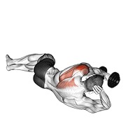 Tumbado on floor posterior delt elevación con mancuerna