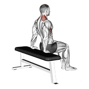 Scapula dips