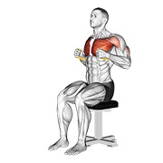 Resistance con banda sentado chest press