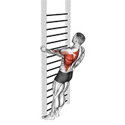 Bodyweight de pie close-grip one arm remo