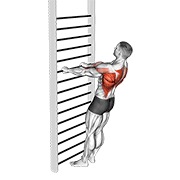 Bodyweight de pie remo