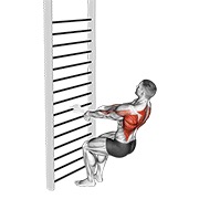 Bodyweight squatting remo (with towel)