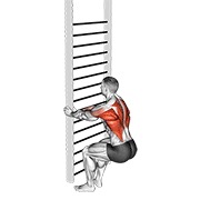 Bodyweight squatting remo