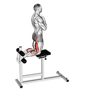 Glute-ham elevación