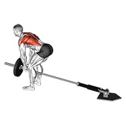 De palanca bent-over remo with v-bar
