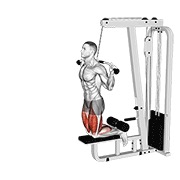 Asistido inverse curl femoral en polea