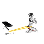 Resistance con banda hip thrusts on knees (female)