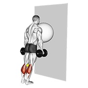 Exercise ball on the wall elevación de gemelos (tennis ball between knees)