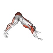 Pike-to-cobra flexión